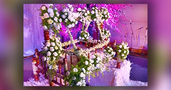Wedding Hall Services In Chennai