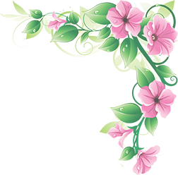 Wedding Hall Services In Chennai